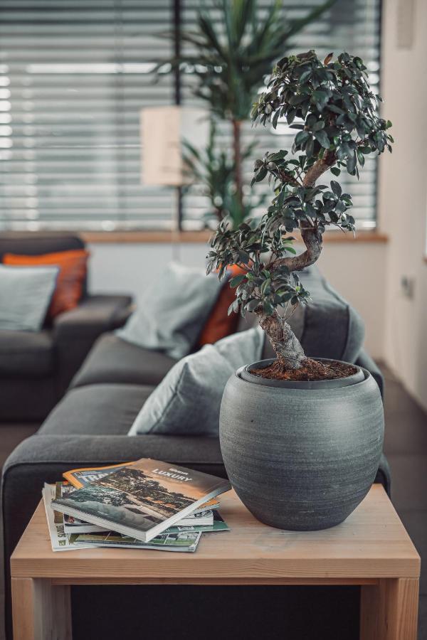 Eco Boutique Hotel Ams Beagle Bled Kültér fotó